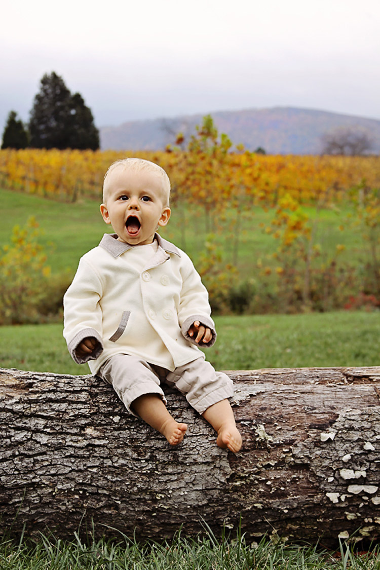 One year old at a vineyard in Charlottesville, VA