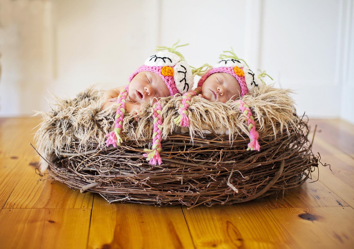 newborn twin girls in birds nest